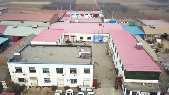 360ml Plastic Honey Salad Dressing Bottle Ketchup Bottle 